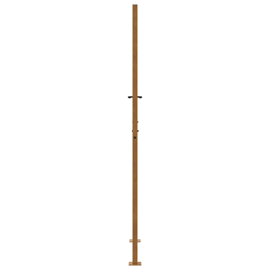 Poort met vlamontwerp 105x205 cm weervast staal