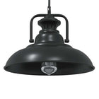 Hanglamp Ø 31 cm ijzer zwart