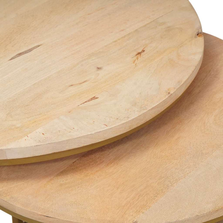 Nest Koffietafels 3 pcs Wit Massief mangohout en staal