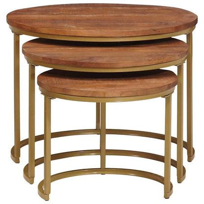 Nest Koffietafels 3 pcs Honingbruin Massief mangohout en staal