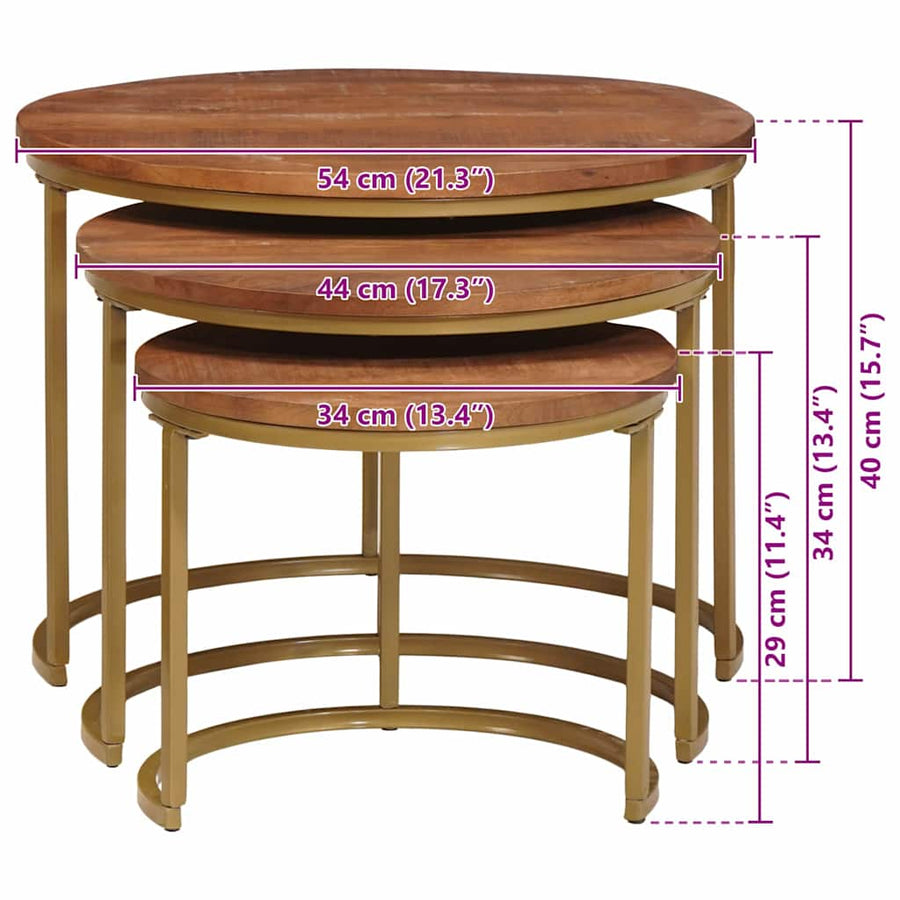 Nest Koffietafels 3 pcs Honingbruin Massief mangohout en staal