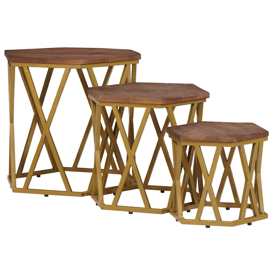 Salontafels Bruin 55 x 55 x 50 cm Massief Mango Hout