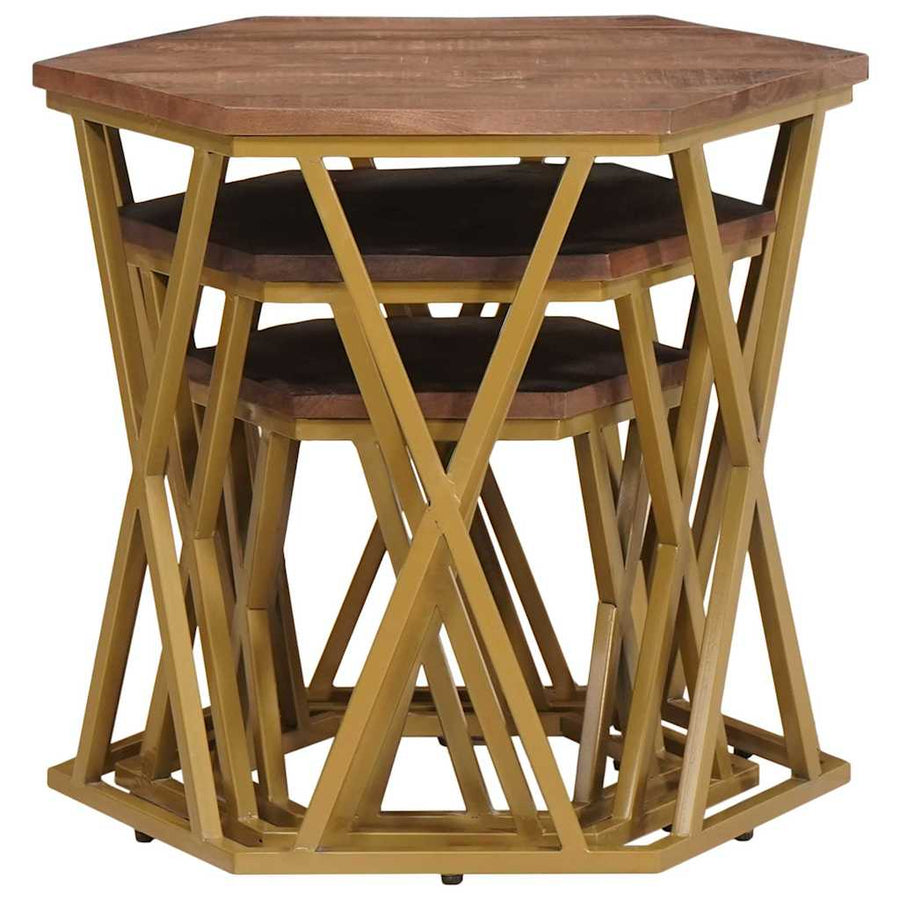 Salontafels Bruin 55 x 55 x 50 cm Massief Mango Hout