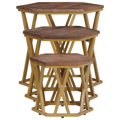 Salontafels Bruin 55 x 55 x 50 cm Massief Mango Hout
