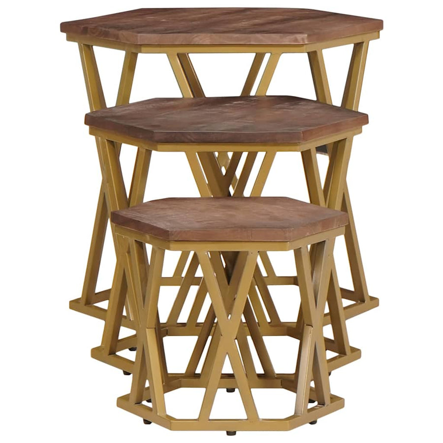 Salontafels Bruin 55 x 55 x 50 cm Massief Mango Hout