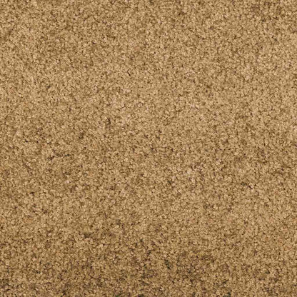 Deurmat Anders Crème en Zwart 120 x 350 cm Polyamide en PVC