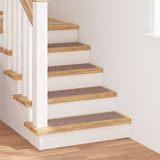 Trapmatten 15 stuks lichtbruin 75x20 cm PP
