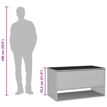 Opbergbox Voor Buiten 100X55X55,5 Cm Poly Rattan Zwart