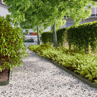 Gazonranden 50 st 103x10 cm koudgewalst staal olijfgroen