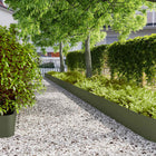 Gazonranden 10 st 25x103 cm staal olijfgroen