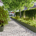 Lawn Edging 20 pcs 25x103 cm cold-rolled steel olive green