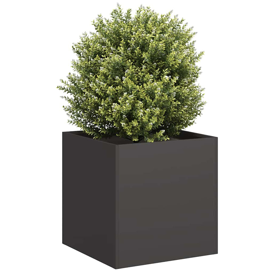 Plantenbak 40x40x40 cm koudgewalst staal zwart