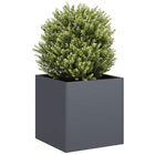 Plantenbak 40x40x40 cm koudgewalst staal antraciet