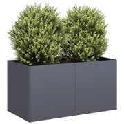 Plantenbak 80x40x40 cm koudgewalst staal antraciet