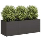 Plant Pot Black 120x40x40 cm Cold-Rolled Steel