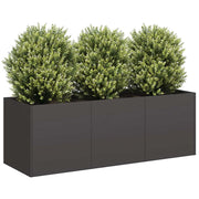 Plantenbak 120x40x40 cm staal zwart