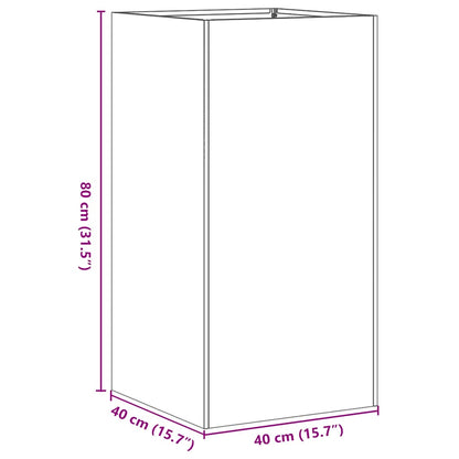 Plantenbak 40x40x80 cm koudgewalst staal zwart