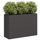 Planter 120x40x80 cm cold-rolled steel black
