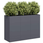 Plantenbak 120x40x80 cm staal antraciet