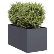 Plantenbak 80x40x40 cm koudgewalst staal antraciet