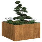 Plantenbak 80x80x40 cm weervast staal roestig