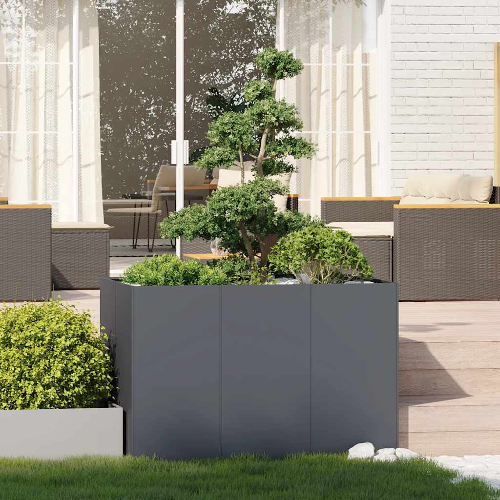 Plantenbak 120x80x80 cm staal antracietkleurig