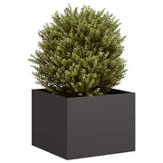 Planter 40x40x30 cm steel black