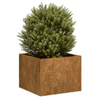 Plantenbak 40x40x30 cm weervast staal roestig