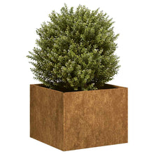 Plantenbak roestig 40x40x30 cm weervast staal