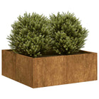 Plantenbak 80x80x30 cm weervast staal