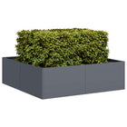 Plantenbak 100x100x30 cm staal antraciet