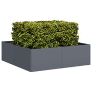 Plantenbak 100x100x30 cm staal antraciet