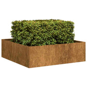 Plantenbak 100x100x30 cm weervast staal roestig