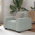 Fauteuil 100x78x84 cm fluweel lichtgrijs
