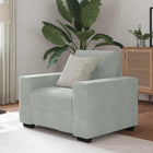 Fauteuil 100x78x80 cm fluweel lichtgrijs