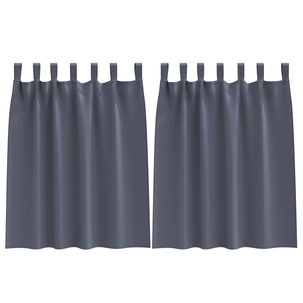 Gordijnen met gordijnen 2 pcs Antraciet Polyester