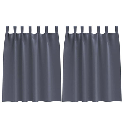 Gordijnen met gordijnen 2 pcs Antraciet Polyester