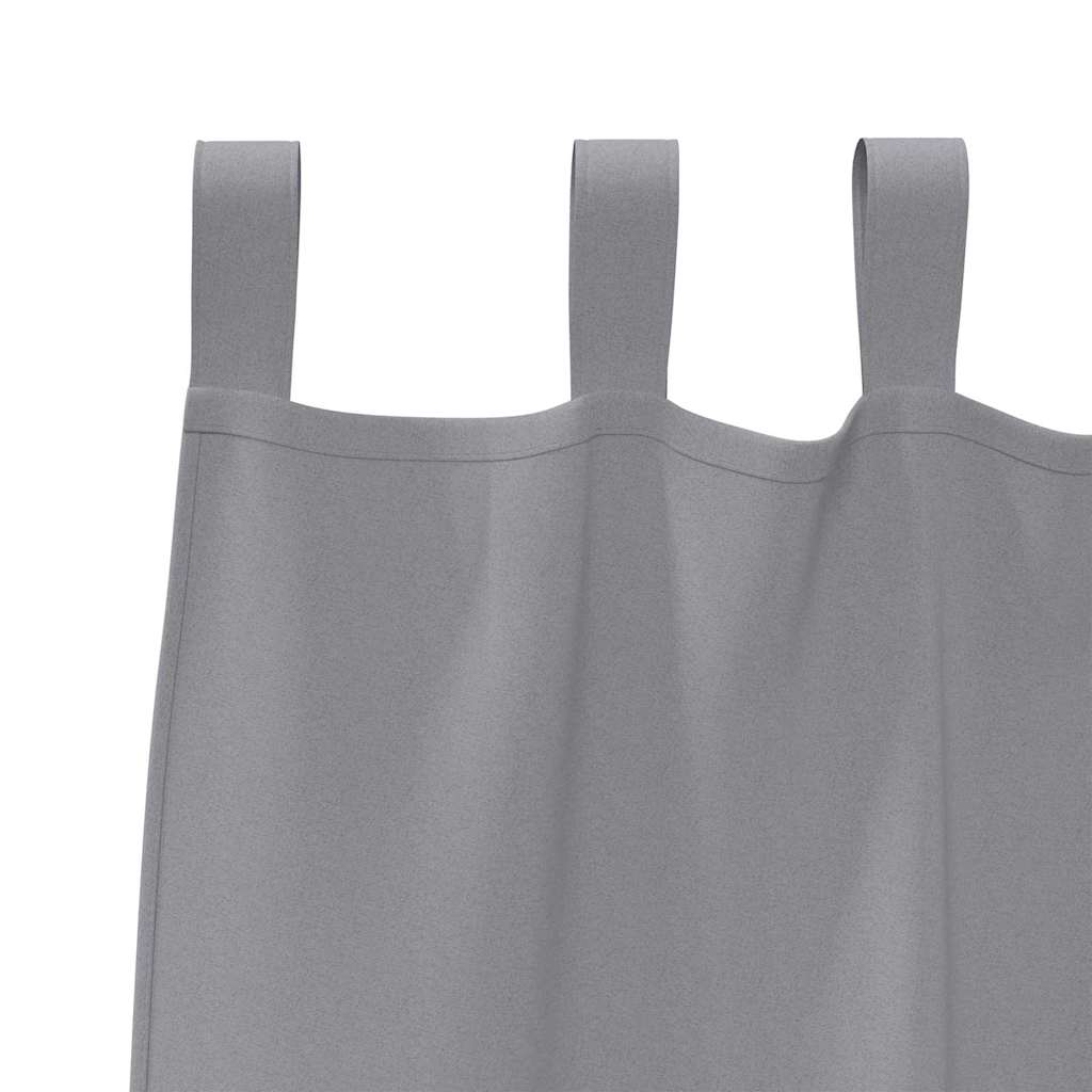 Gordijnen met gordijnen 2 pcs Lichtgrijs Polyester