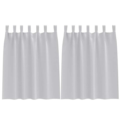 Gordijnen met gordijnen 2 pcs Lichtgrijs Polyester