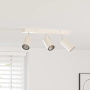 Plafondspot nikkel metaal 38x6x16 cm
