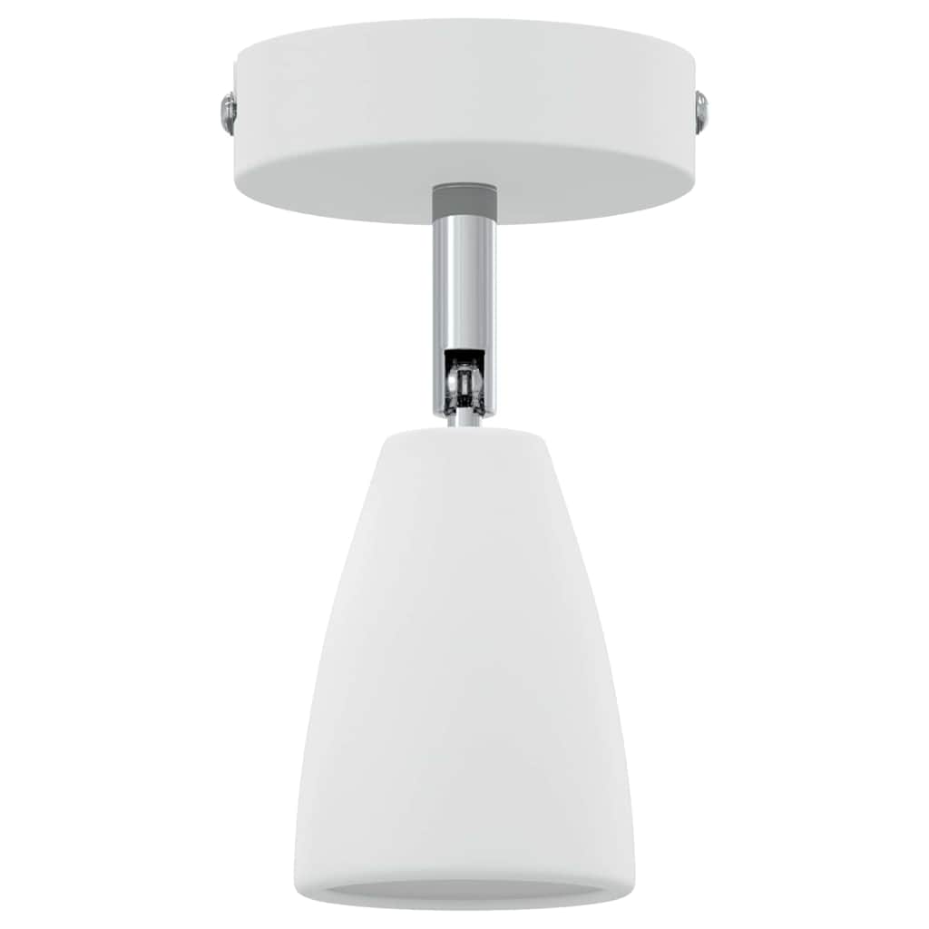 Plafondspot met schijnwerpers Wit 25.5 x 8 x 16 cm Metaal