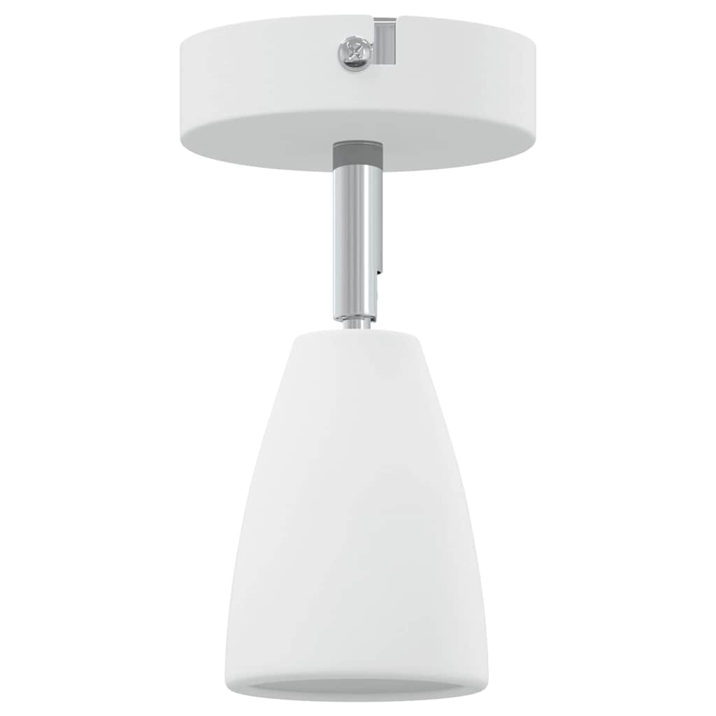 Plafondspot met schijnwerpers Wit 25.5 x 8 x 16 cm Metaal