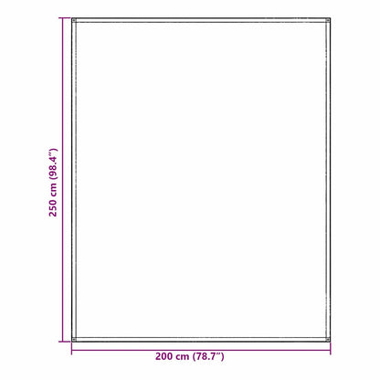 Tenttapijt Blauw en Grijs 200 x 250 cm Polyetheen