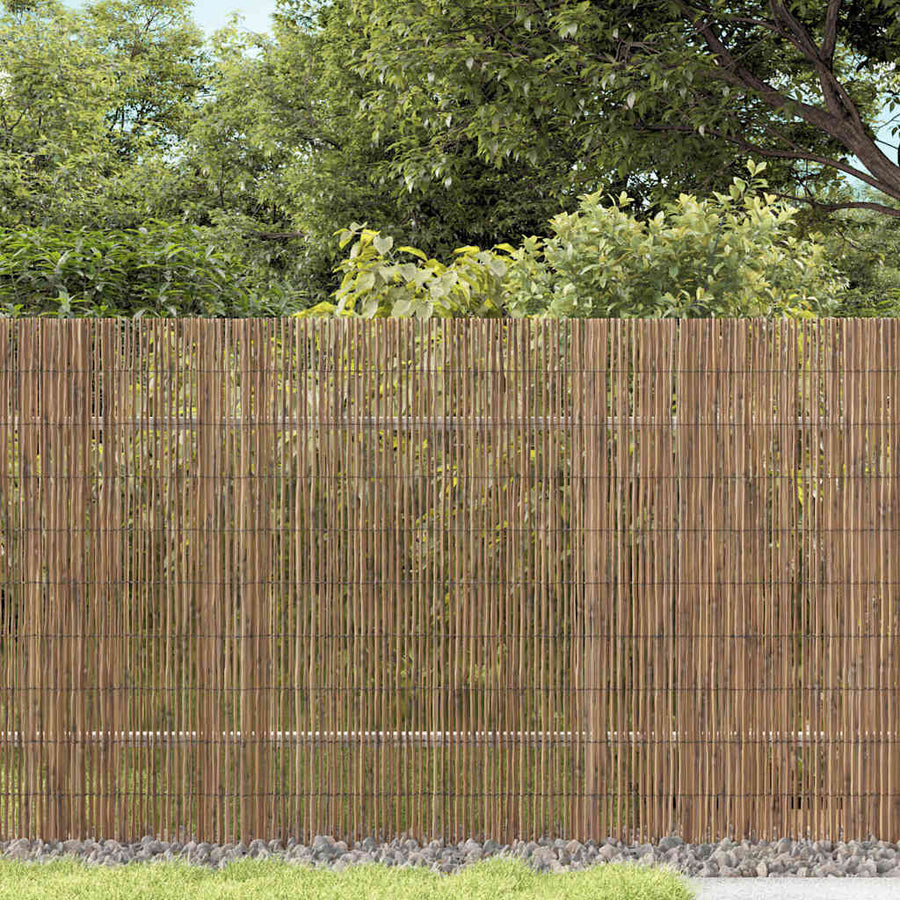 Riet Omheining Bruin 600 x 160 cm Riet