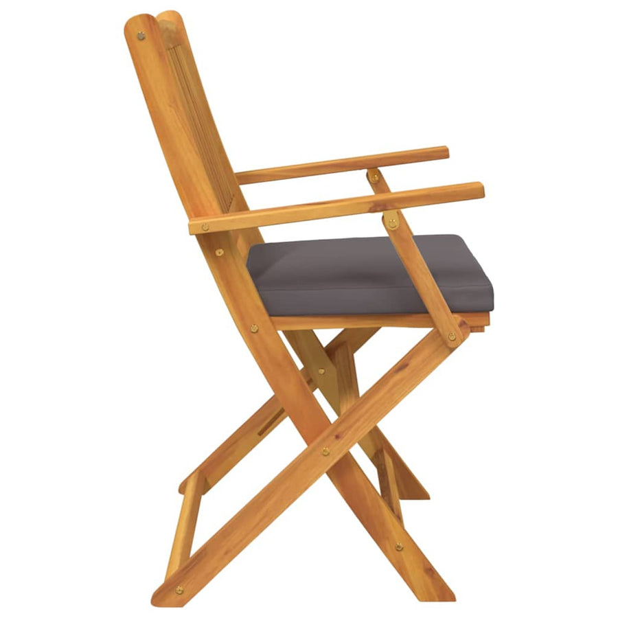 Opvouwbare Stoel Met Kussen 8 Pcs Grijs 49 X 57,5 X 92Cm Donkergrijs Met armleuning