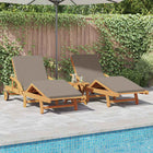 Ligstoel 2 stuks massief acaciahout taupe 200x67x84cm
