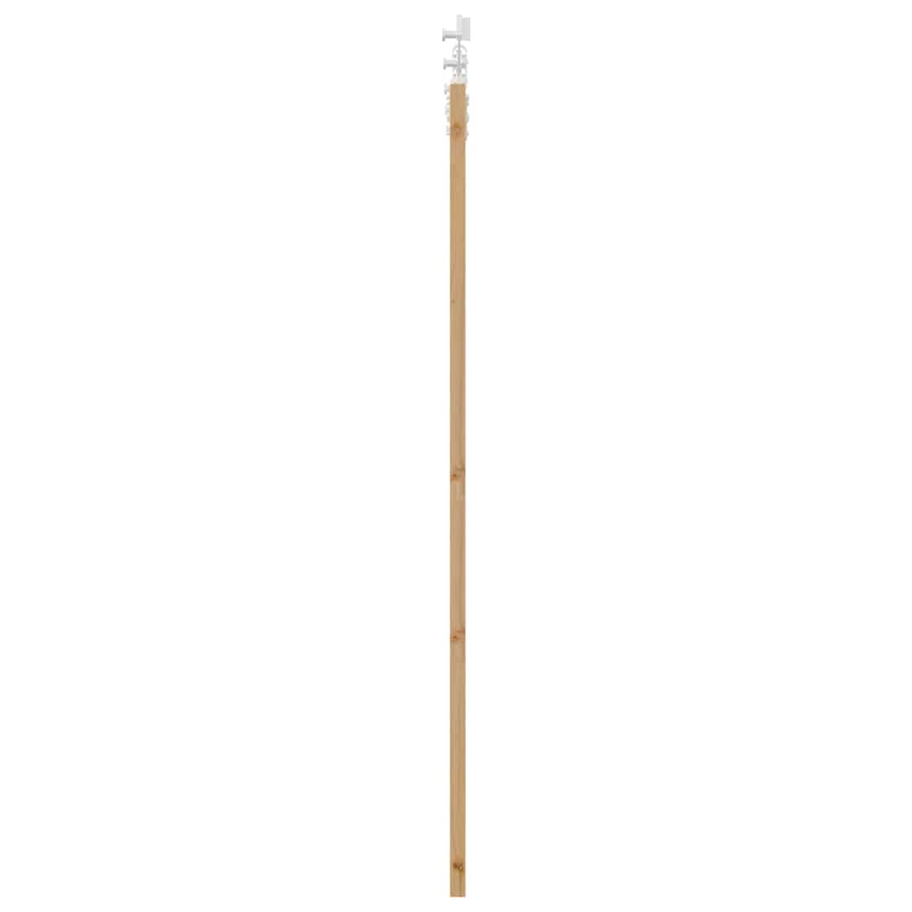 Schuifdeur Naturel 61 X 198,5 Cm Massief Grenenhout En Glas