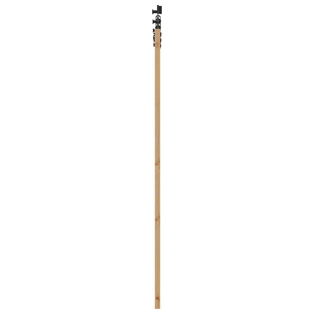 Schuifdeur Naturel 73,5 X 198,5 Cm Massief Grenenhout En Glas