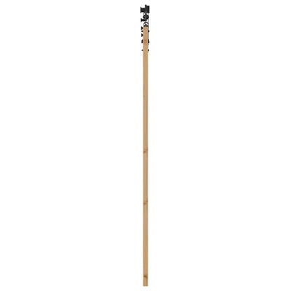 Schuifdeur Naturel 61 X 198,5 Cm Massief Grenenhout En Glas