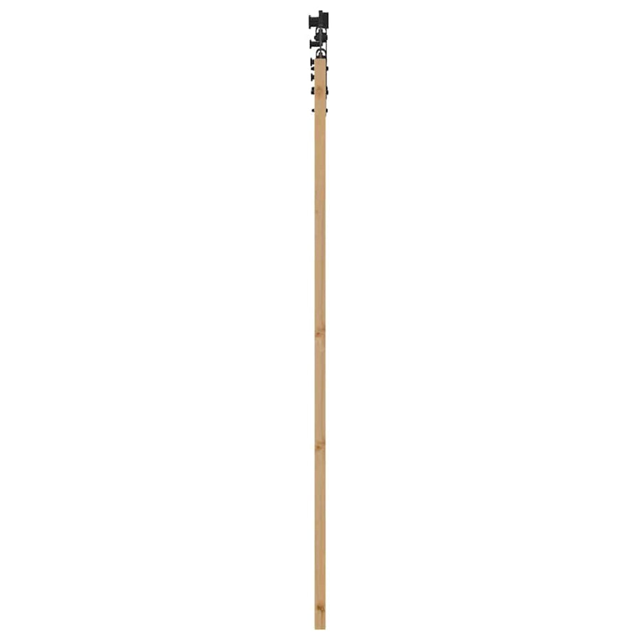 Schuifdeur Naturel 61 X 198,5 Cm Massief Grenenhout En Glas